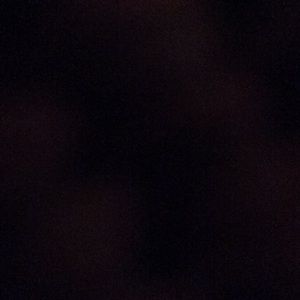 Meet your Posher, Selina